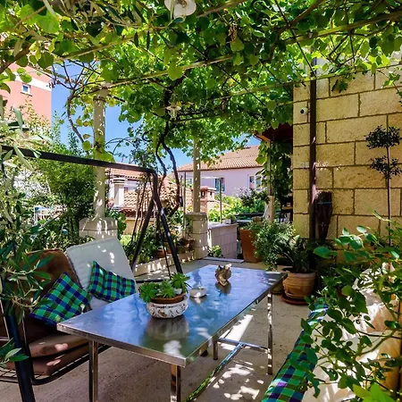 Apartment And Frane - With Terrace