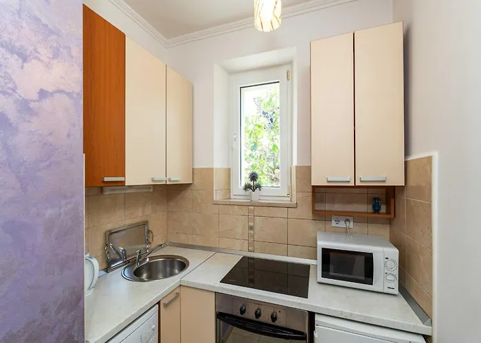 Apartment And Frane - With Terrace